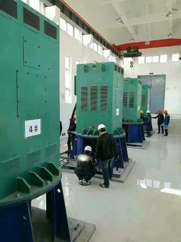 泰富西玛某污水处理厂使用我厂的立式高压电机安装现场
